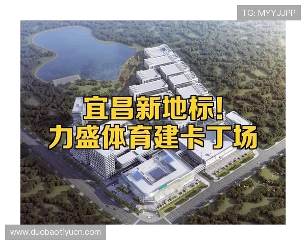 力盛体育全面解析：打造专业运动装备的领先品牌与发展战略